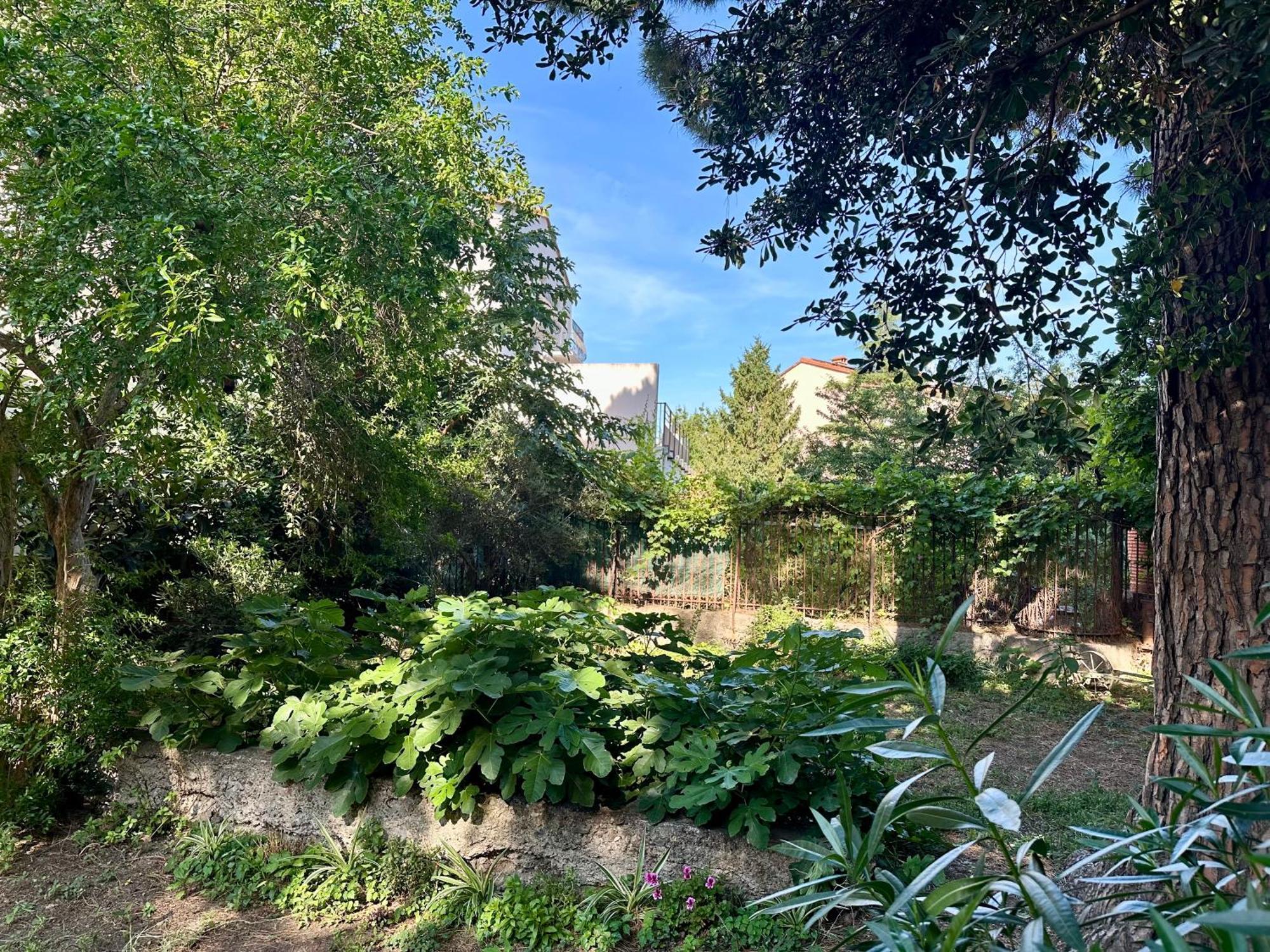 Appartement Avec Jardin Prive A 2Min De La Plage Banyuls-sur-Mer Exterior foto